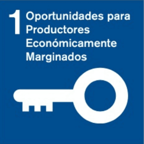 Crear oportunidades para organizaciones productoras marginadas económicamente