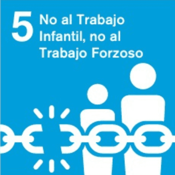 Garantizar la ausencia de trabajo infantil y de trabajo forzoso