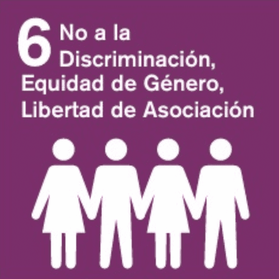 Compromiso con la no discriminación, equidad de género y el empoderamiento económico de las mujeres, y la libertad de asociación